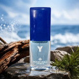 عطر جیبی وودی سنس (Woody Sence) مدل Y حجم 15 میلیلیتر